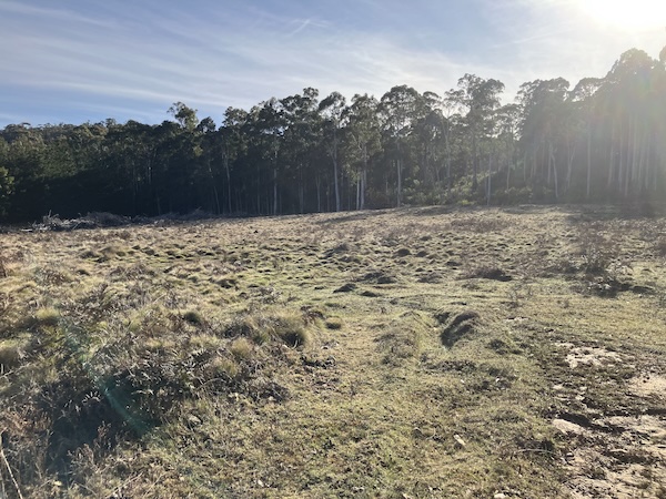 25Spring HHsite2 lowres